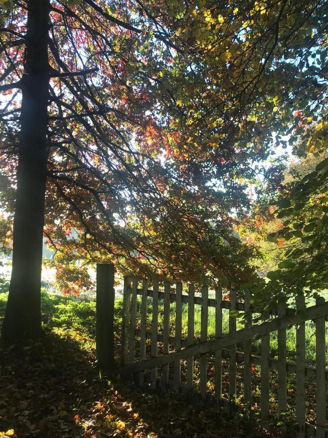 Chambre D'Hotes La Ferme Du Pre-Martin La Genevraie Екстериор снимка
